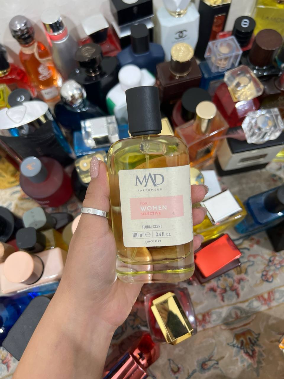 photo_1_2025-11-22_15-16-36