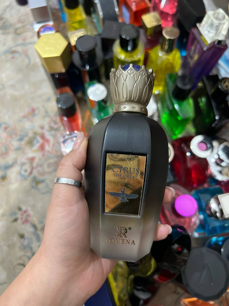 photo_1_2025-11-22_15-25-16