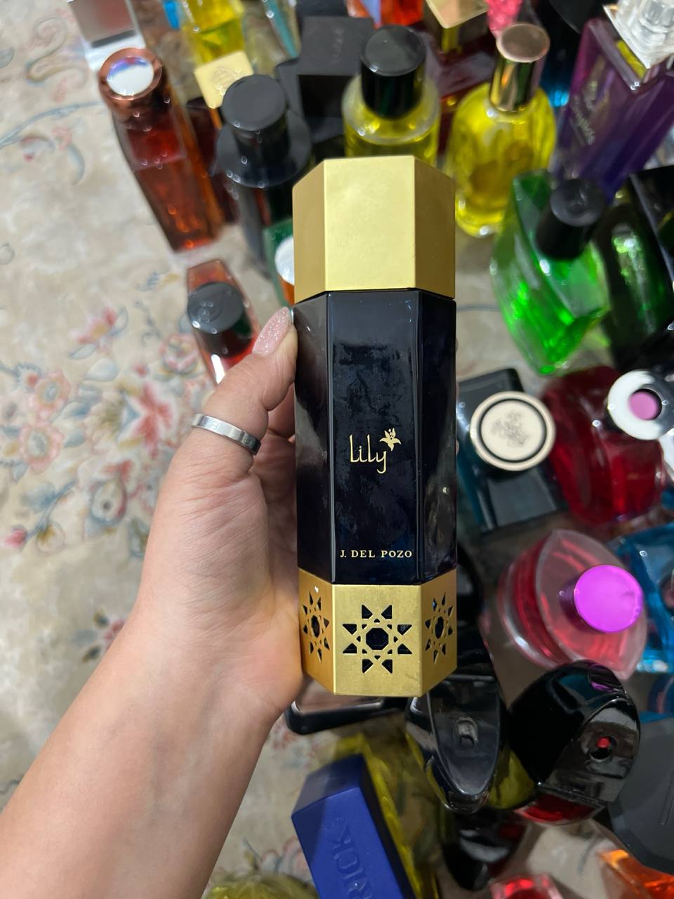 photo_1_2025-11-22_15-30-07